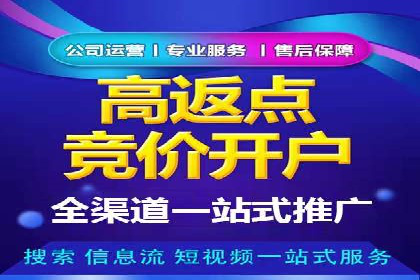 百度竞价托管运营成功案例解析